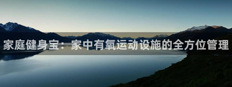 德国yy易游体育官方正版app集团:家庭健身宝:家中有氧运动