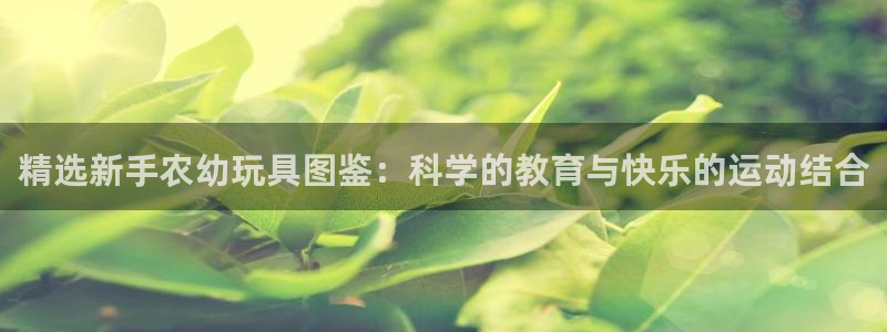 yy易游体育官方正版app官方:精选新手农幼玩具图鉴:科学的